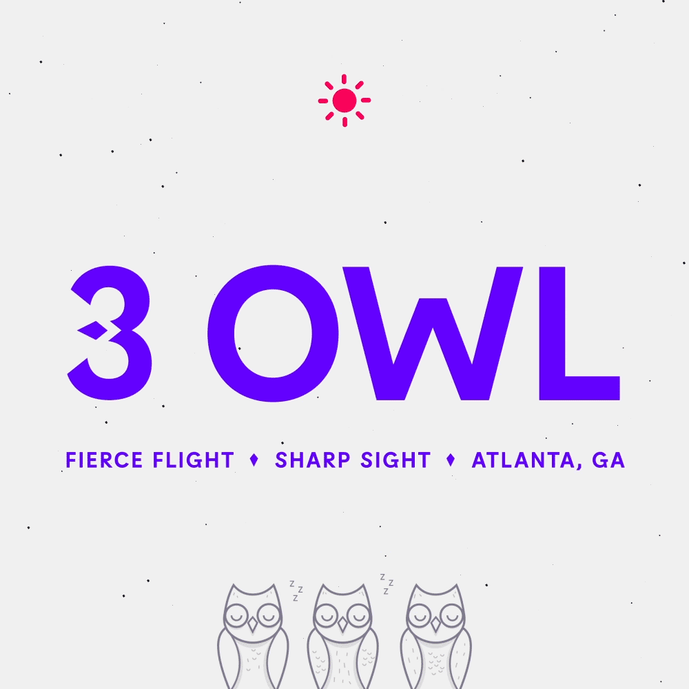 3 Owl Logo Animation